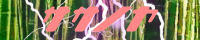 RETTm - Stepmania̋ȕʃf[^AjbLĂATTm̃TCgB݂ł͌JĂȐȂłAȂ̃`CX̃ZXfm邱ƂłƎv܂B