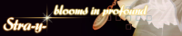 YEStra-y-Fblooms in profoundF - LivedooruO{megaupload̊ŕʂJĂAỸTCgB